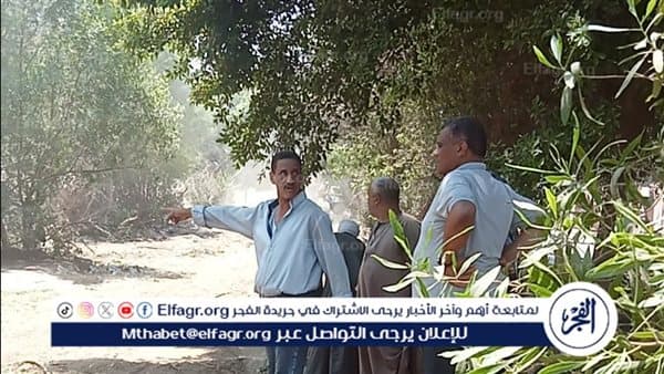 Assiut launches campaign to clean Roman Garden