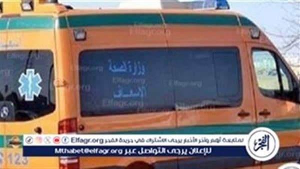 مستشفى صدر المنيا يعالج أربع حالات خطيرة من لدغات الثعابين والعقارب