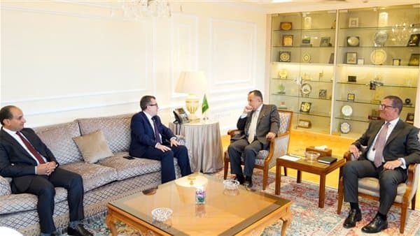 Nabil Fawzi Meets Egypt’s Planning Minister