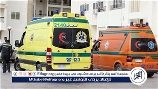 Victims of Minya minibus crash identified