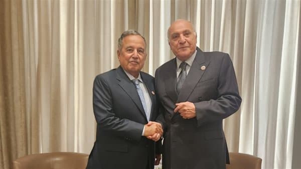Nabil Fahmy discusses Jerusalem with Algerian Foreign Minister in Amman