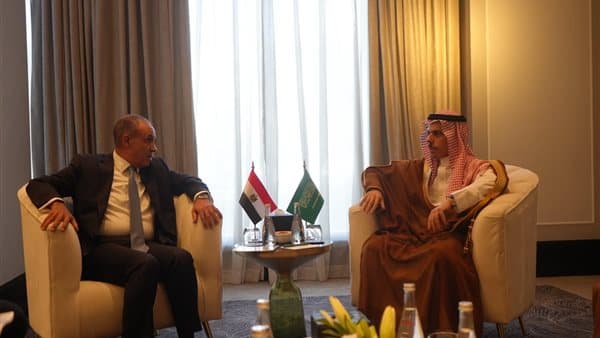 Foreign Minister meets Saudi counterpart in Amman