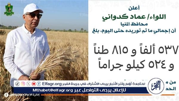Minya monitors wheat supply of 537,000 tons