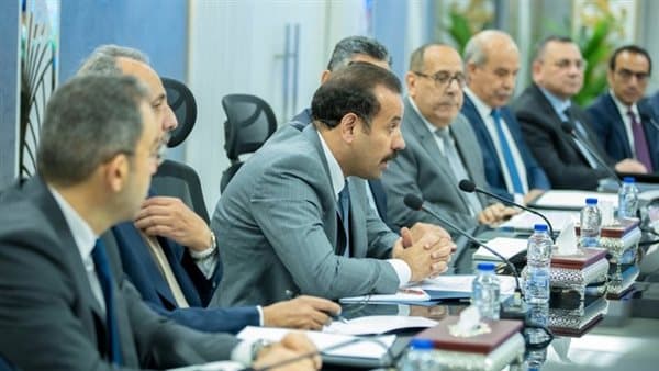 Egypt examines support for national projects