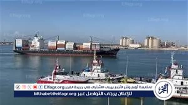Cabinet examines Damietta Port projects