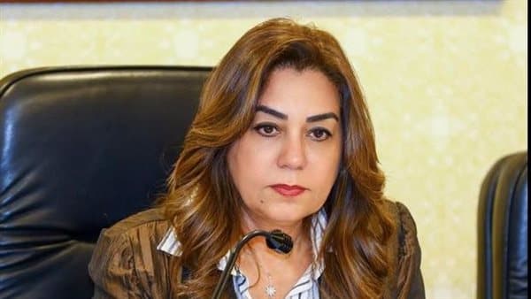 Local Development Minister reviews neighborhood inspections