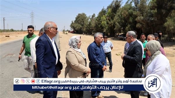 Ismailia Gov Implements Safety Measures