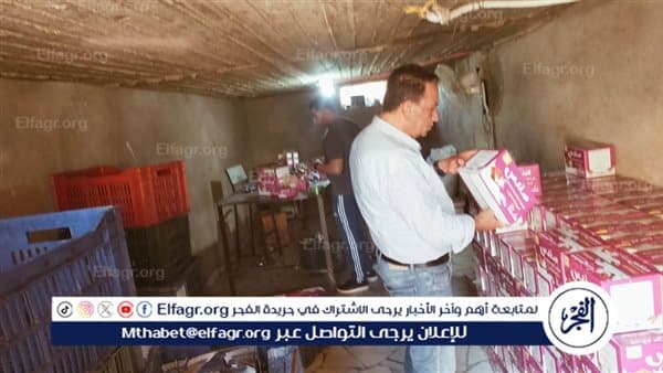 Fayoum Factory Inspection Campaign