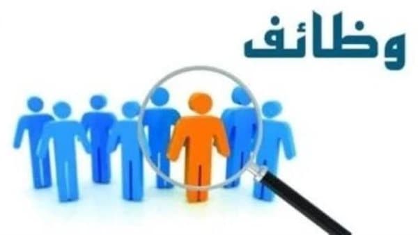 Labor Minister Announces 1,355 Jobs Across 7 Provinces