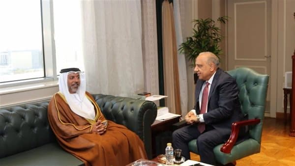 Electricity Minister Talks UAE Ties