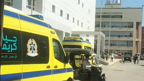 Woman killed in Menoufia suspected tuk-tuk driver