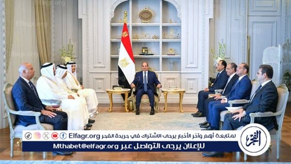 Sisi Meets Qatar PM to Boost Ties