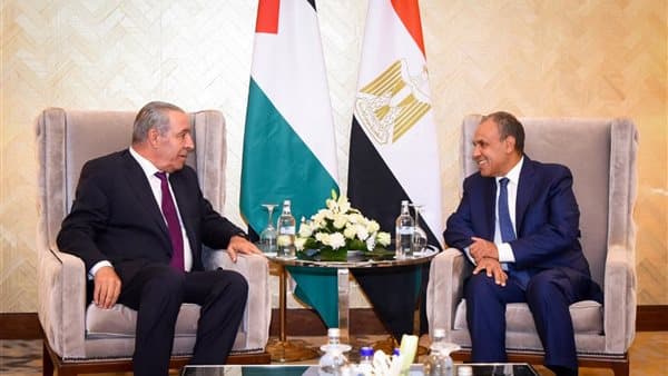 Foreign Minister meets Palestine VP
