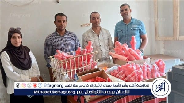 Assiut raids and Qusiyyah cleanup