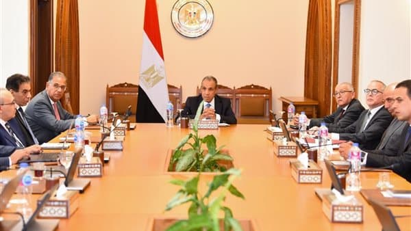Foreign Minister reviews Egypt consular platform