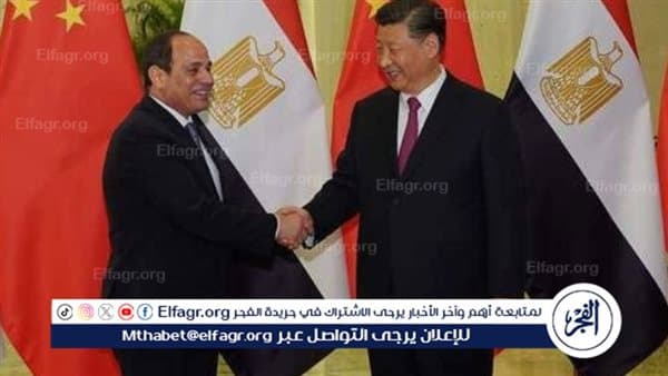 رؤوف سعد يوضح قواعد الشراكة المصرية الصينية