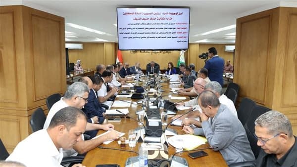 Giza Governor urges market oversight enforcement