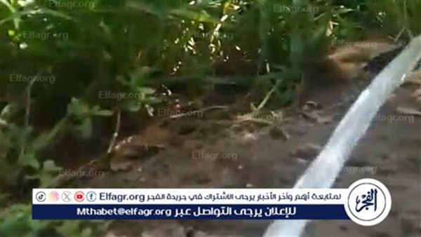 مياه الفيوم تضبط 58 توصيلة غير قانونية