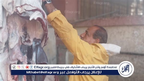محافظ أسيوط يراقب سلامة اللحوم في أولاد إلياس