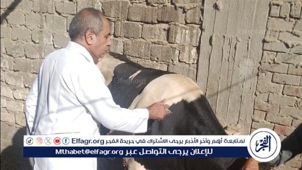 Assiut: Warehouse seized and cattle vaccinated