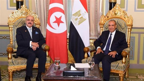 وزير الخارجية يلتقي بنظيره التونسي في القاهرة