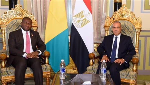 وزير الخارجية يلتقي نظيره في غينيا لتعزيز التعاون