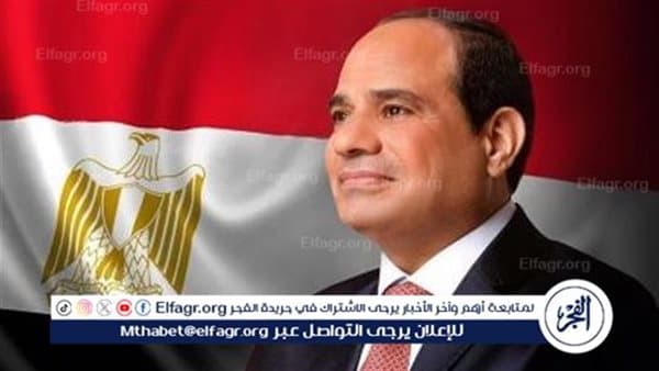السيسي يشارك في قمة بريكس في نيودلهي