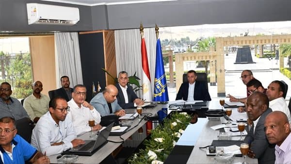 Lashin Advances on Remaining Projects in Decent Life Villages