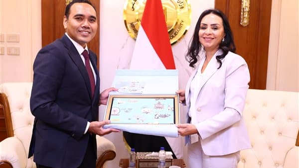 تعاون بين وزيري التضامن والسنغافور