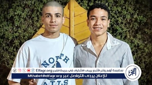 Two Brothers Die in Fayoum Crash