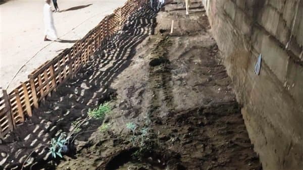 Aswan's youth and green initiatives