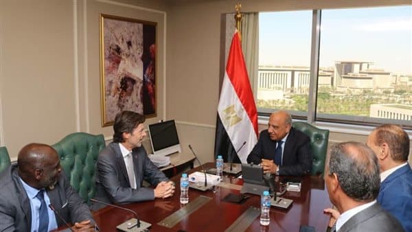 وزير الكهرباء يتباحث مع «IEC» تعزيز التعاون</assistant