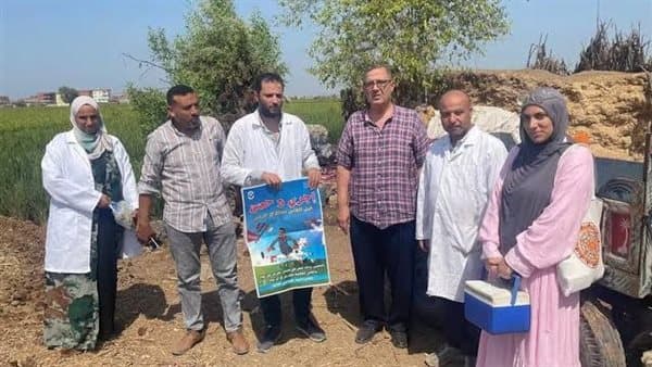 Al-Zira'a: 5.7M livestock vaccines given against FMD and RVF