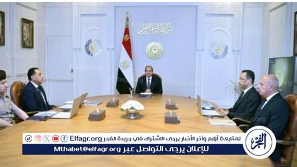 Sisi urges AI investments and data center expansion