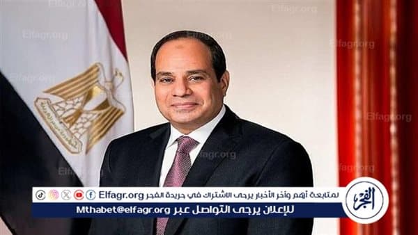 Sisi Discusses Gaza Plan and Ceasefire with US Official
