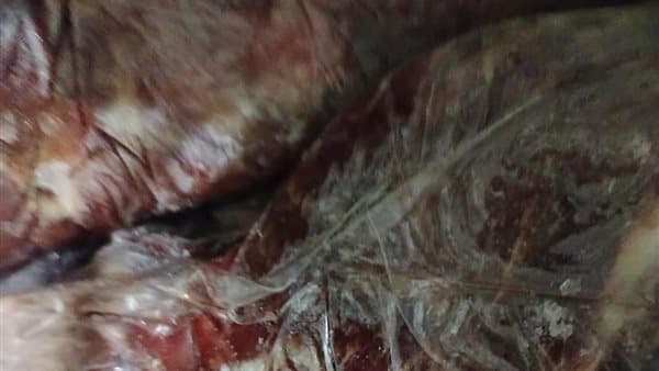 ضبط حوالي طن من اللحوم والدواجن غير الصالحة بشرق شبرا