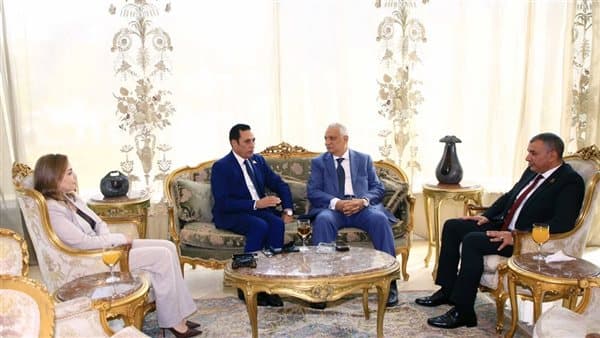 تنمية الريف المصري وشركة الخرافي يLanانشئان 6 محطات كهربائية في سهل المنيا