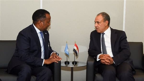 وزير الخارجية يناقش الشراكة مع الصومال