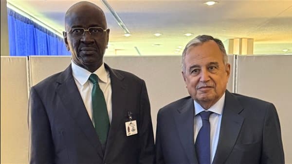 Elaraby Meets Mauritanian FM at UN