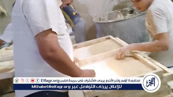Minya Confiscates Rotten Goods, Issues 272 Food Violations