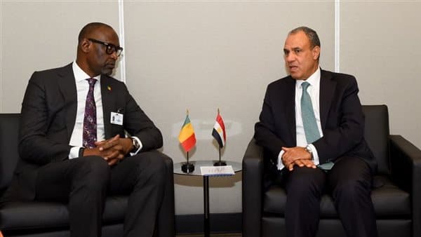 Foreign Minister Meets Malian Counterpart