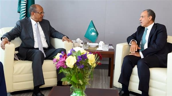 Foreign Minister discusses with AU Chair at UN