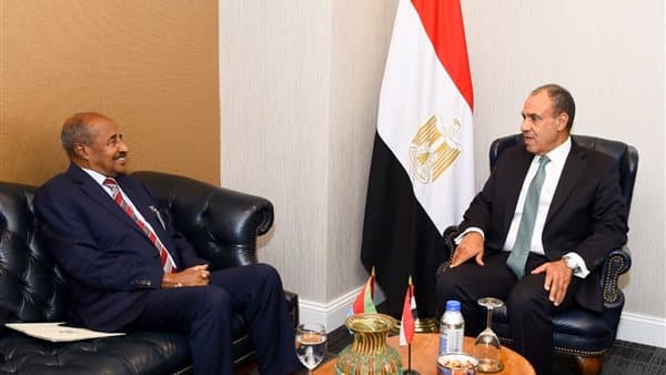 Foreign and Eritrean ministers discuss bilateral ties