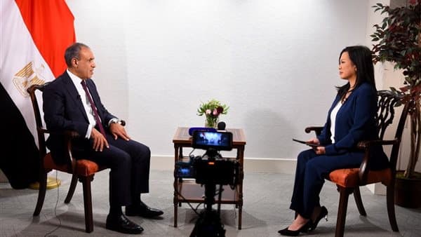 Egypt's Foreign Minister on Palestinian Issue