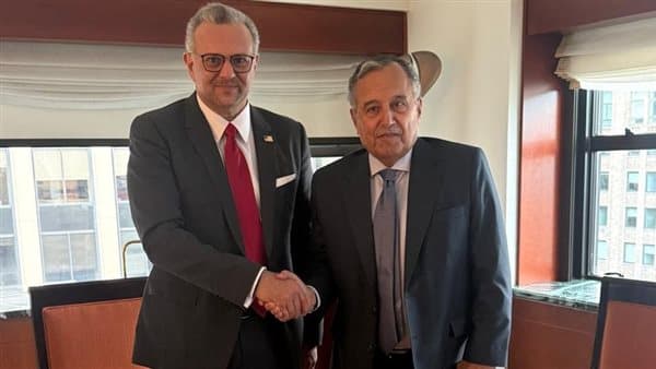 Elaraby Meets U.S. Advisor on Sudan and Libya