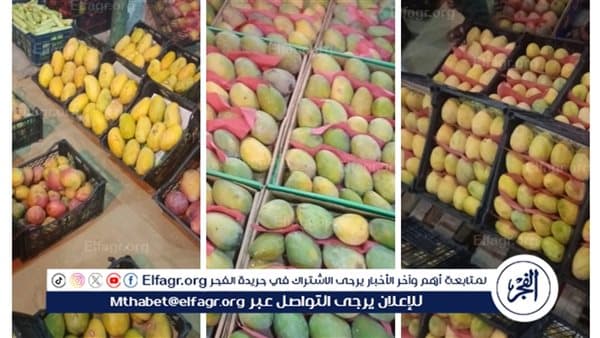 حملة تخفيضات للمانجا في دمنهور