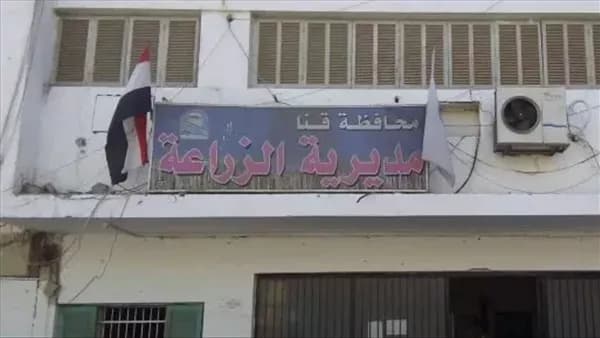 Qena Agriculture Launches Rodent Control Campaign