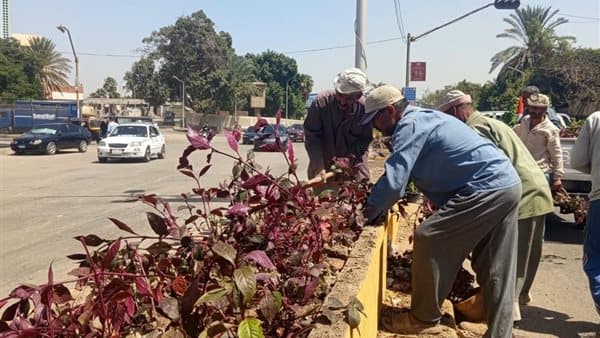Giza Enhances Streets with Flowers