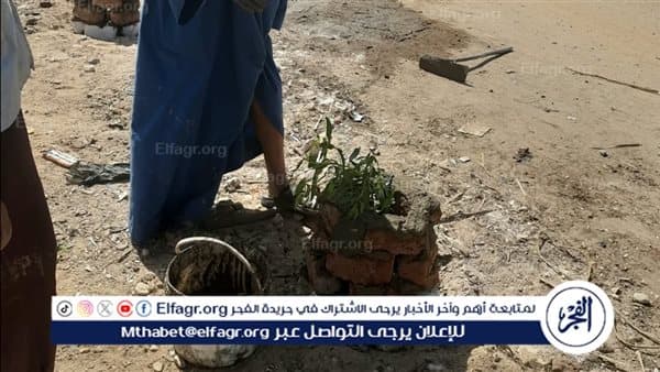 أسيوط تتوسع في التشجير وتطوير طرق