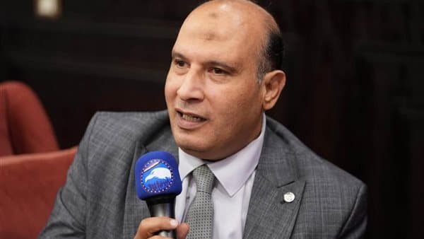 إبراهيم سعودي: استجابة الحكومة لتأجيل الإجراءات تعكس صوت الشارع القانوني